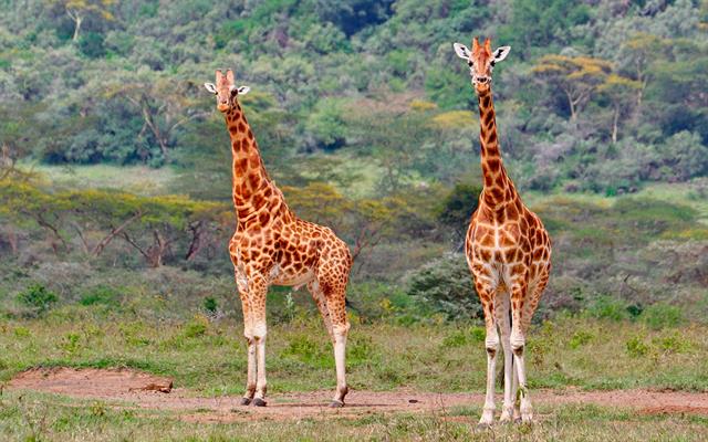 africa-e-oceano-indiano (24).jpg